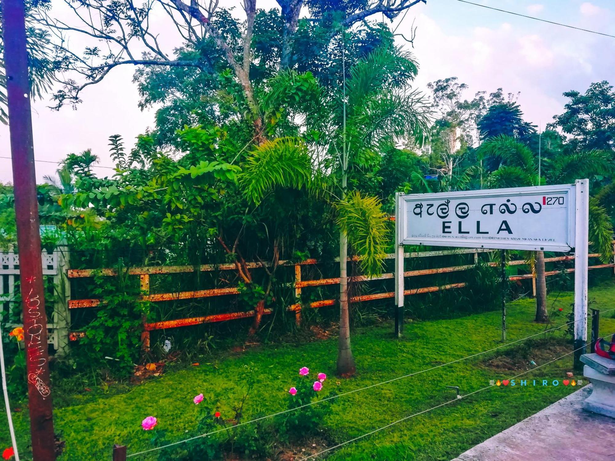 إيلا Saddle Cottage المظهر الخارجي الصورة