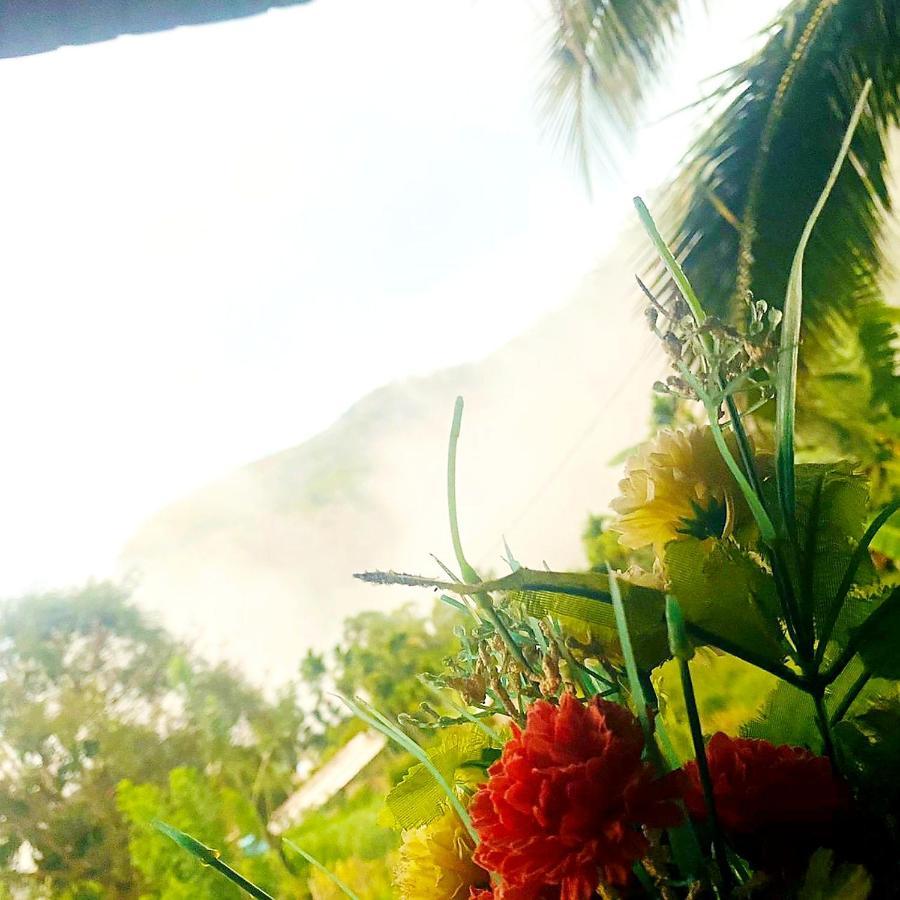 إيلا Saddle Cottage المظهر الخارجي الصورة
