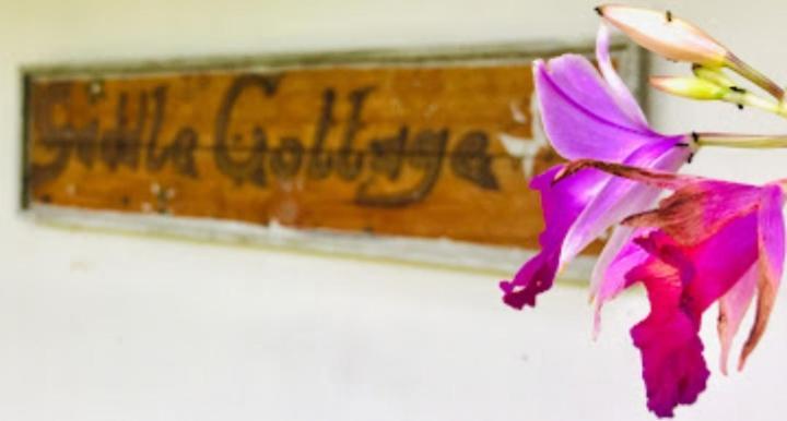 إيلا Saddle Cottage المظهر الخارجي الصورة