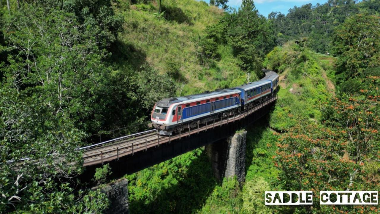 إيلا Saddle Cottage المظهر الخارجي الصورة