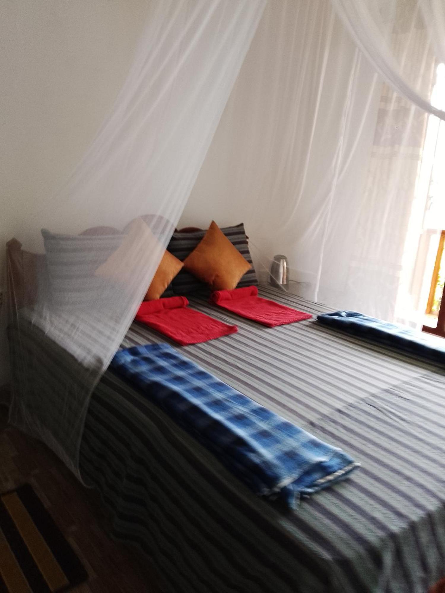 إيلا Saddle Cottage المظهر الخارجي الصورة