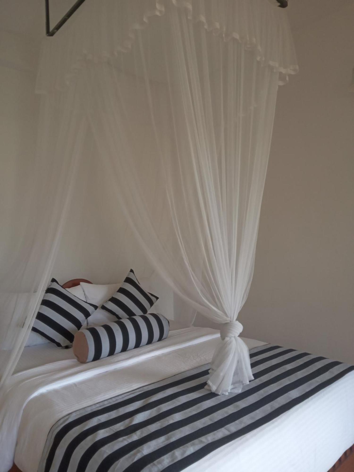 إيلا Saddle Cottage المظهر الخارجي الصورة