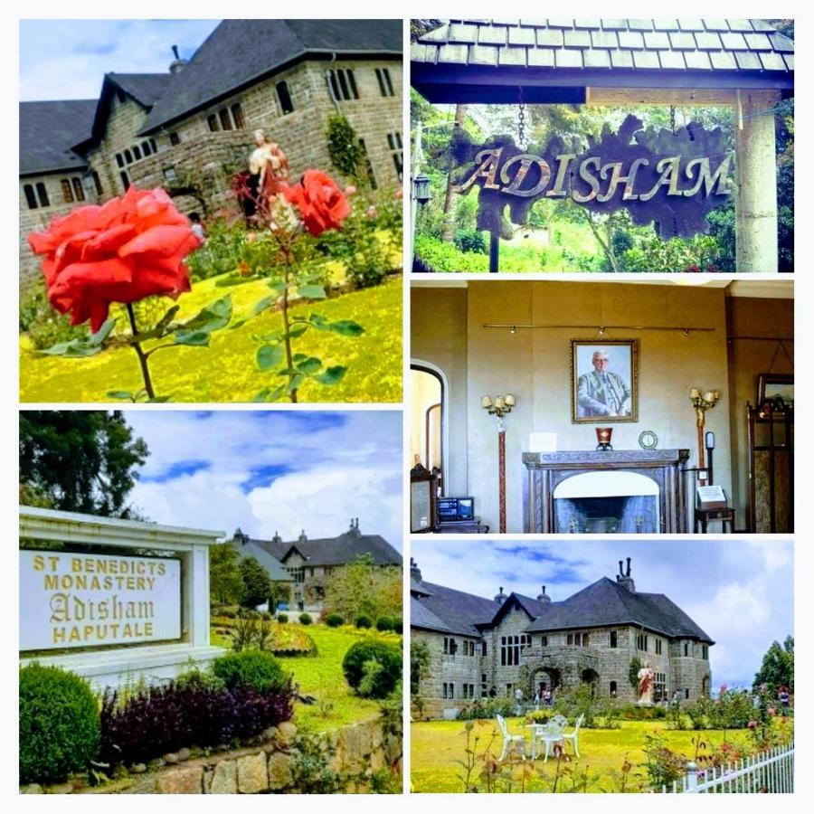 إيلا Saddle Cottage المظهر الخارجي الصورة