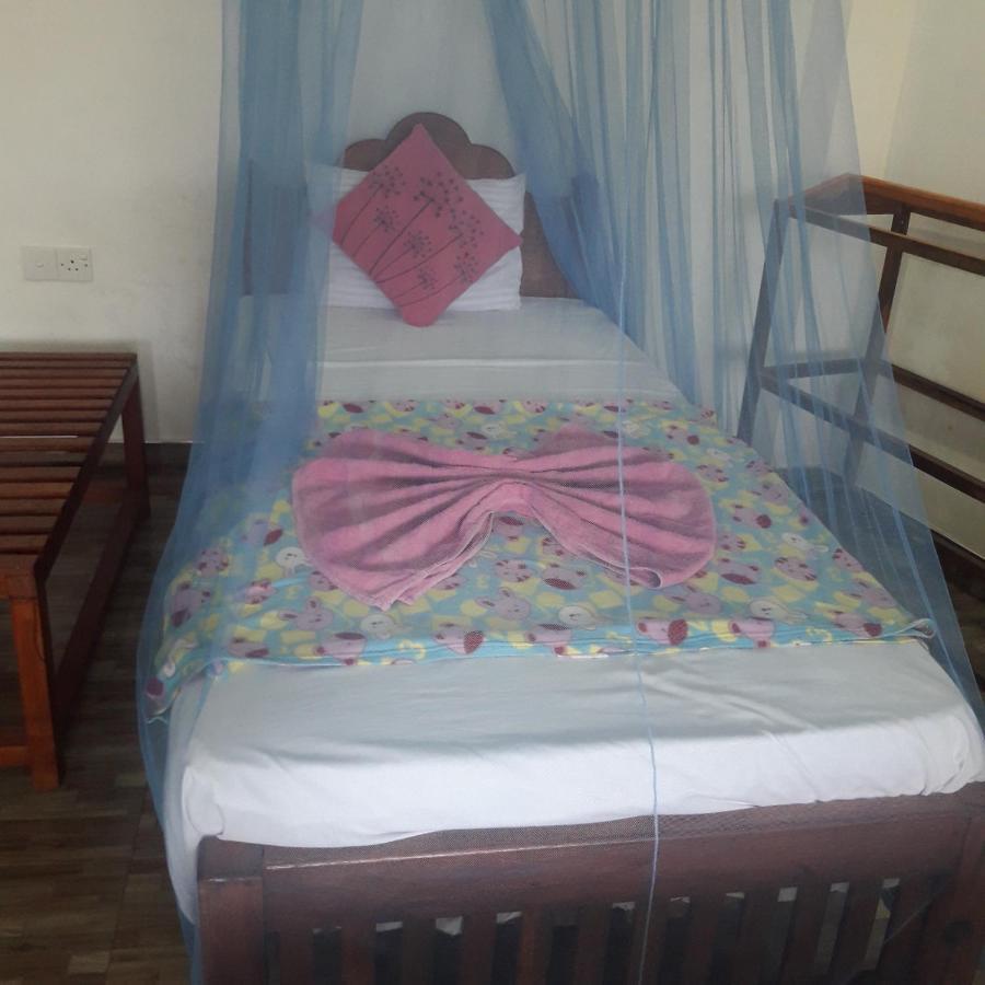 إيلا Saddle Cottage المظهر الخارجي الصورة